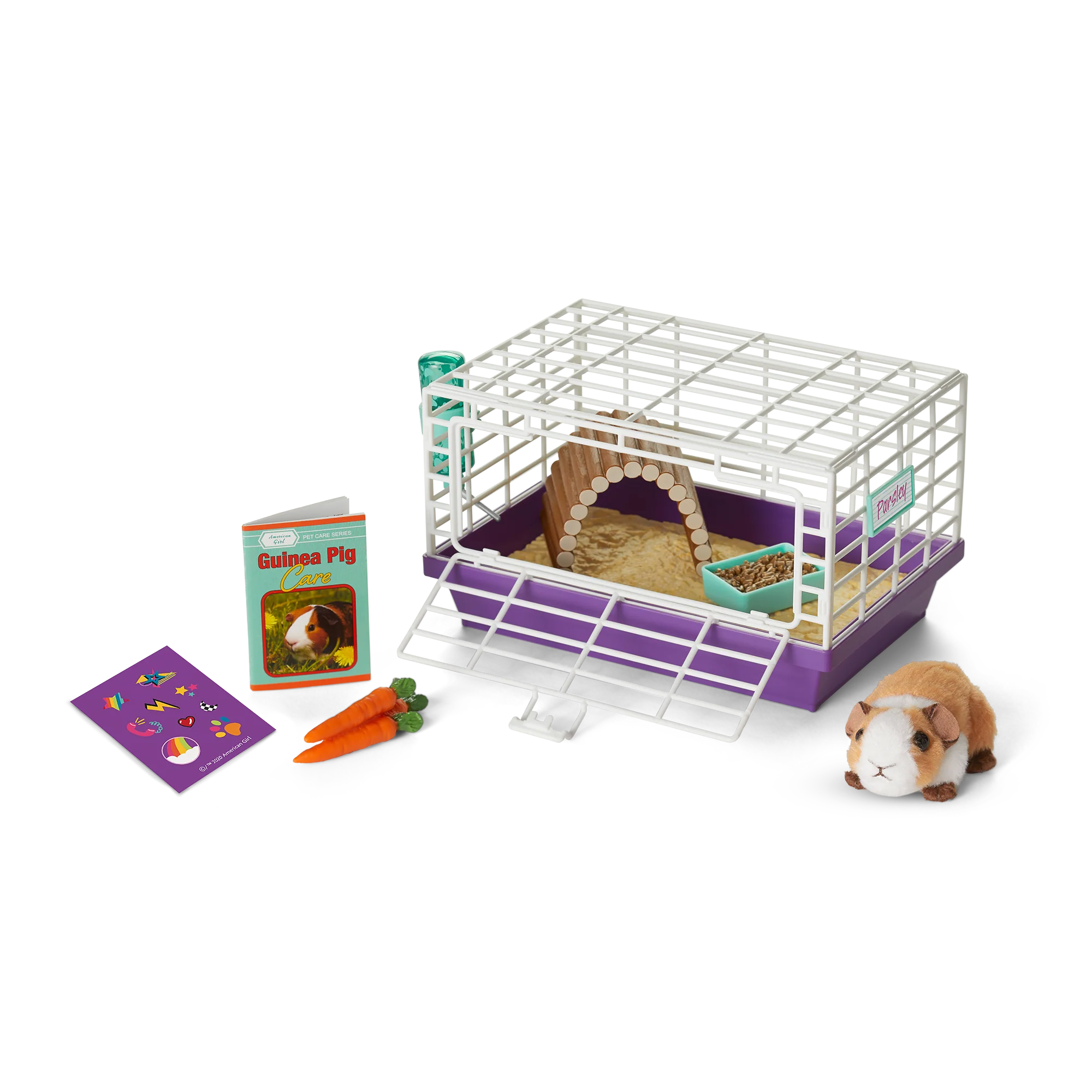 Courtney's™ Guinea Pig (Historical Characters)