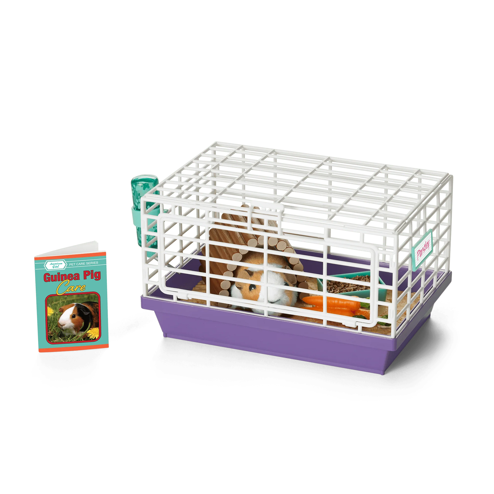 Courtney's™ Guinea Pig (Historical Characters)