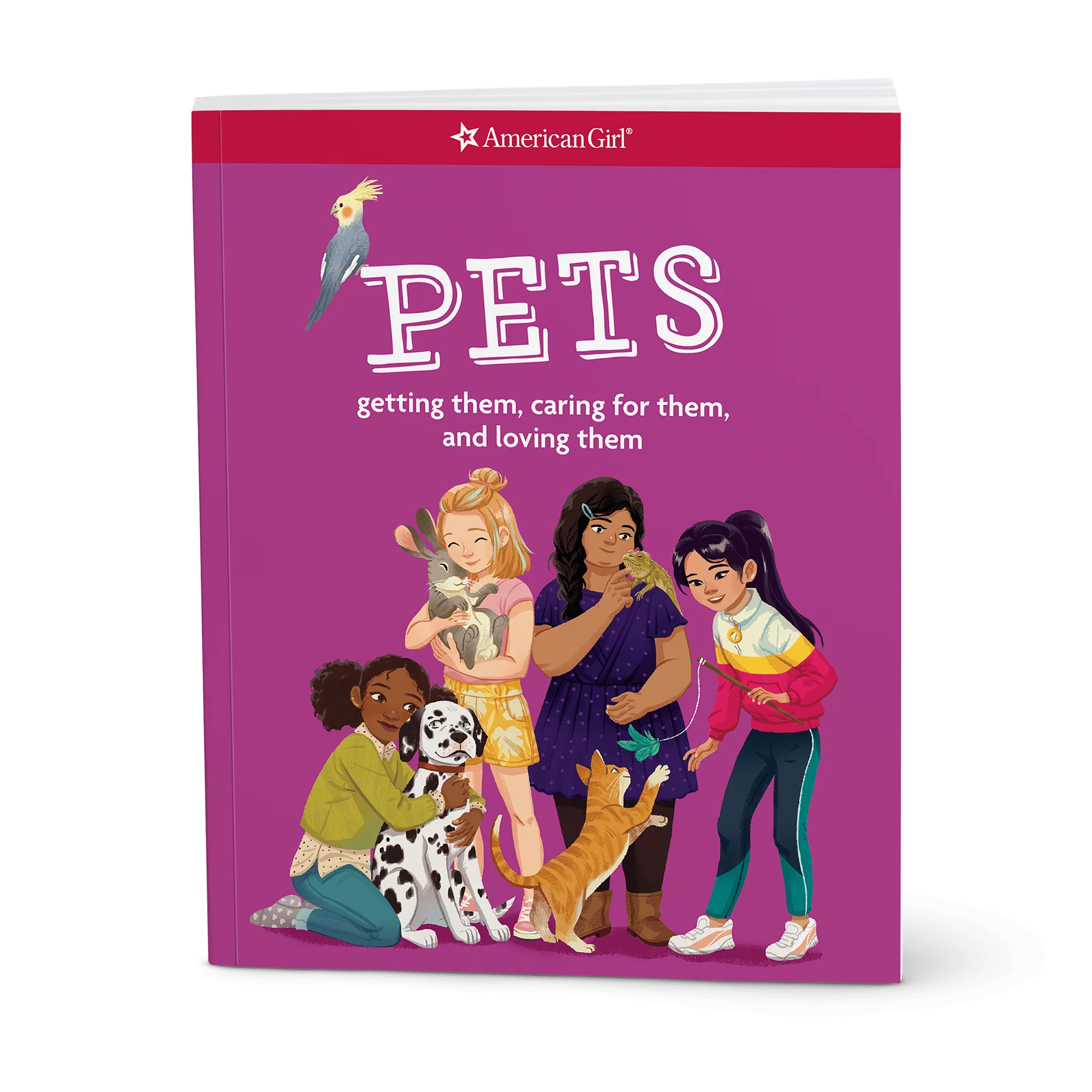 Dog Lover Basket 8 Dog Lover Basket