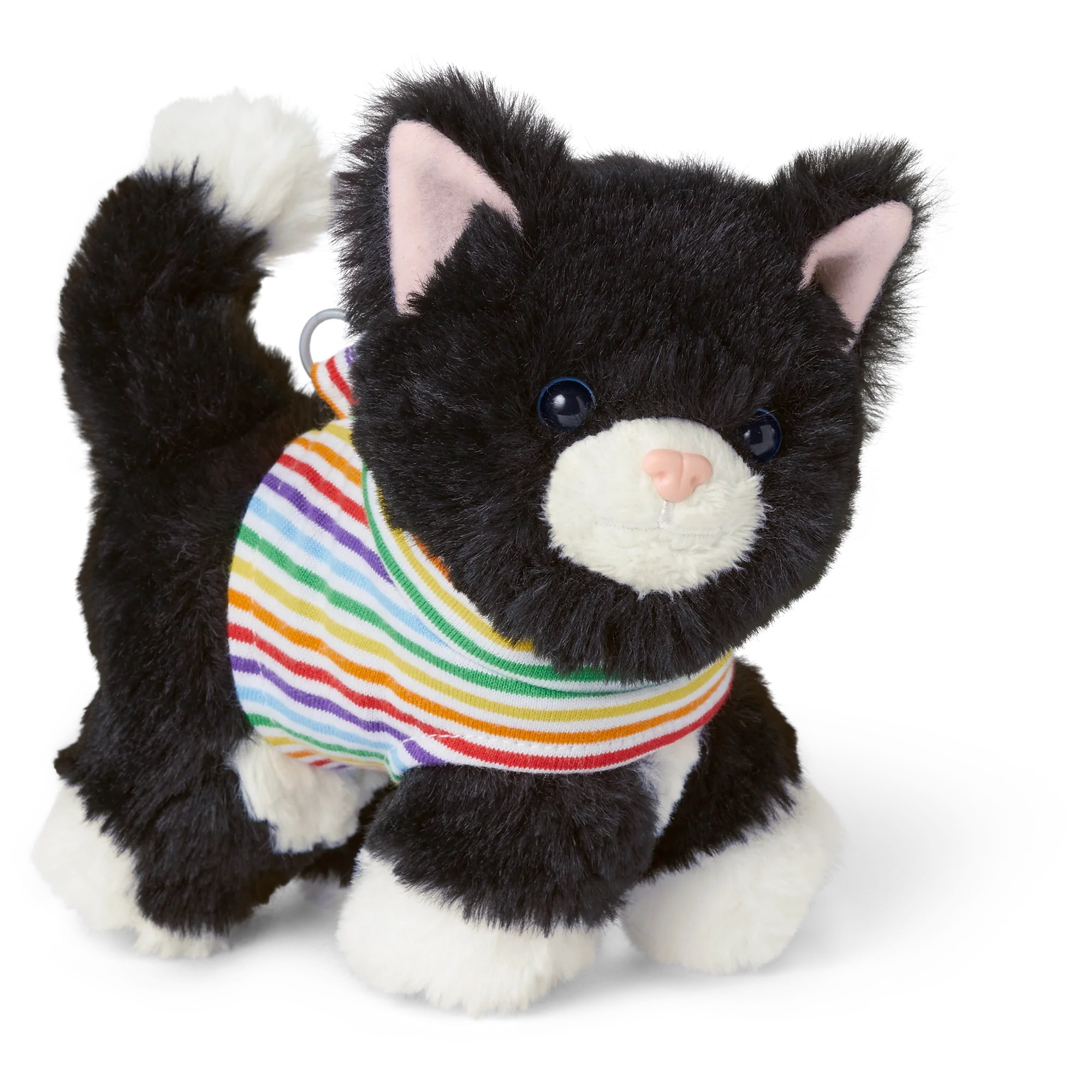 Fancy Pet Fashion Accessories 7 Fancy Pet Fashion Accessories