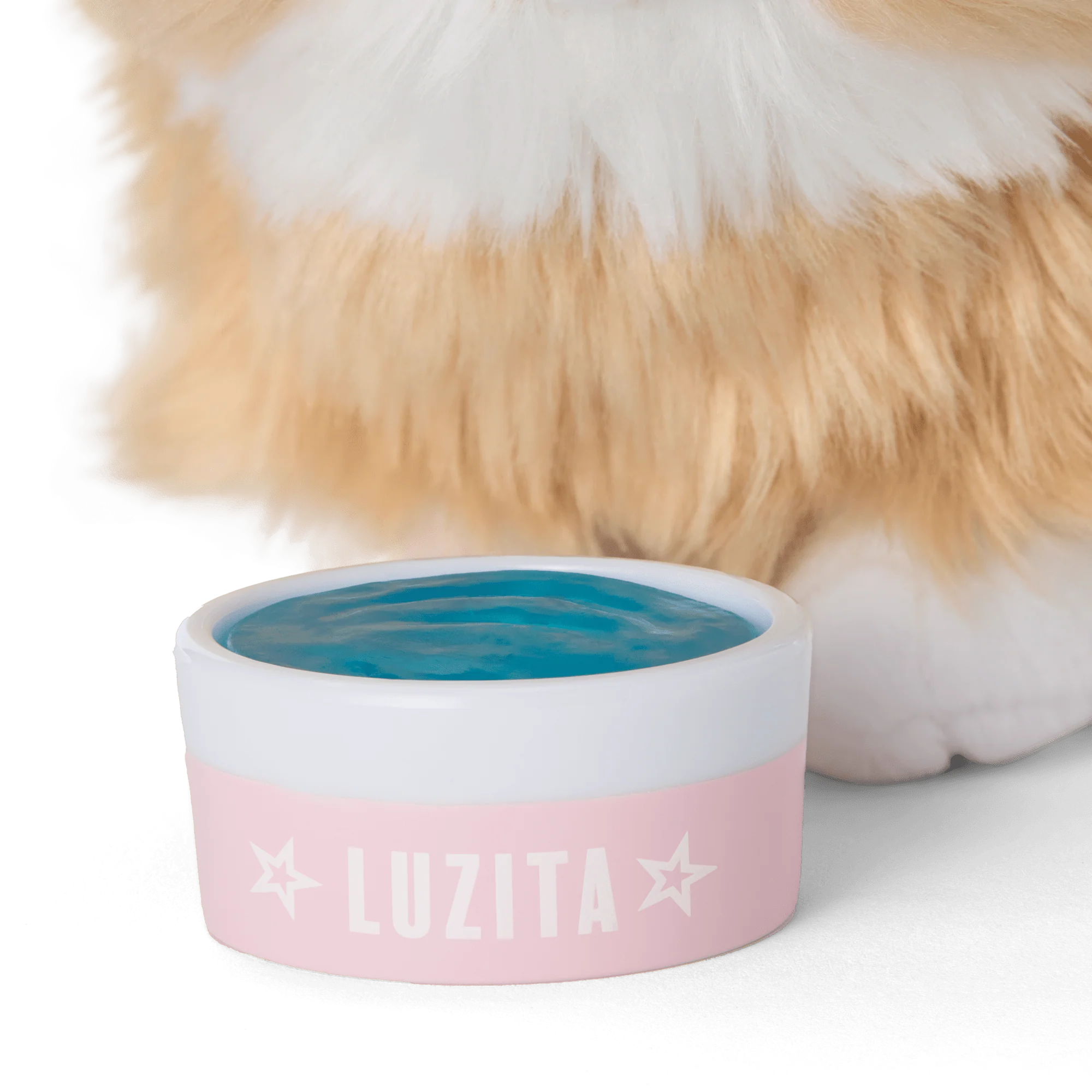 Raquel's™ Dog, Luzita™ (Girl of the Year™ 2026) 5 Raquel's™ Dog, Luzita™ (Girl of the Year™ 2026)