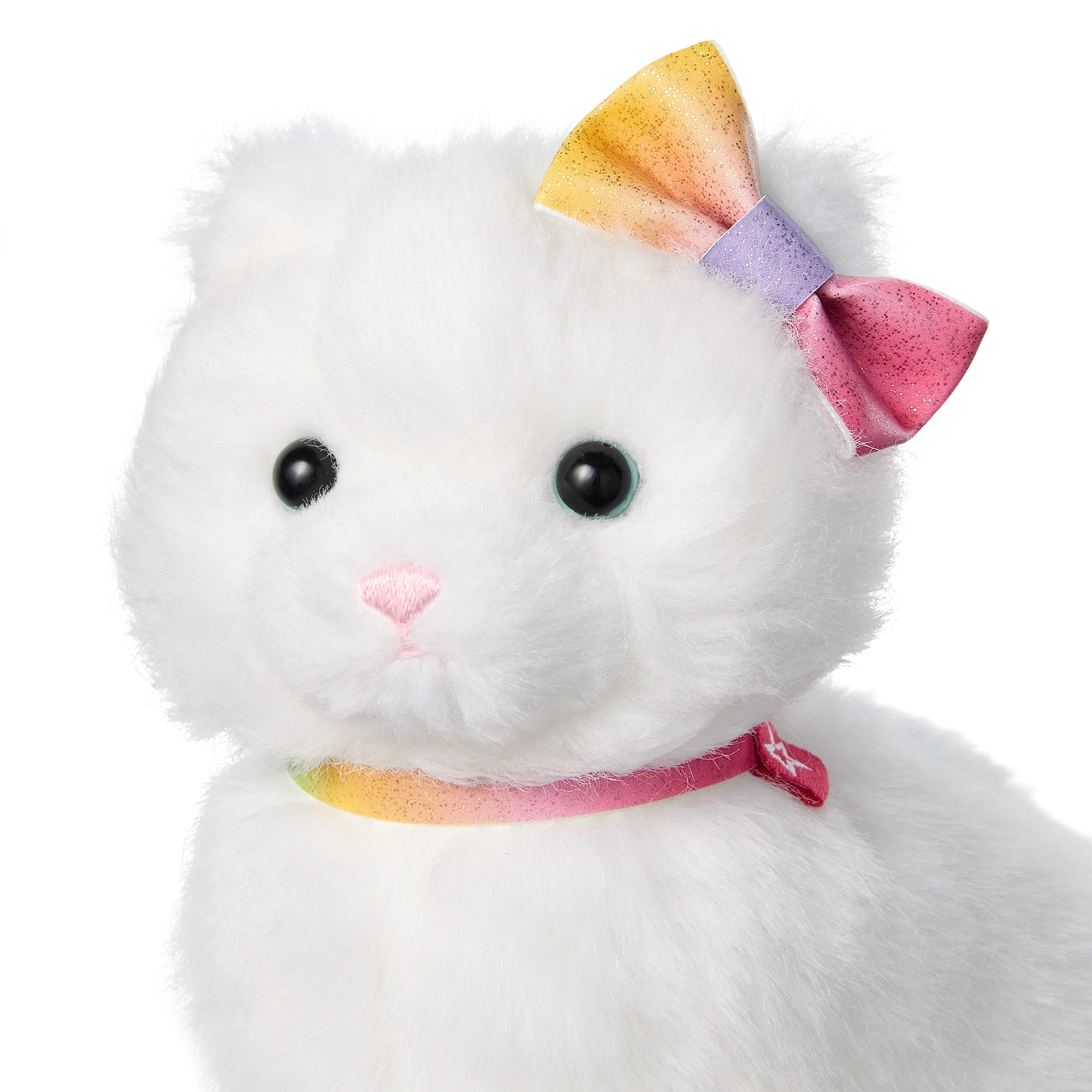 Summer’s™ Cat, Fettuccine™ (Girl of the Year™ 2025) 5 Summer’s™ Cat, Fettuccine™ (Girl of the Year™ 2025)